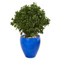 Nearly Naturals 32 in. Peperomia Artificial Plant in Blue Planter 9470